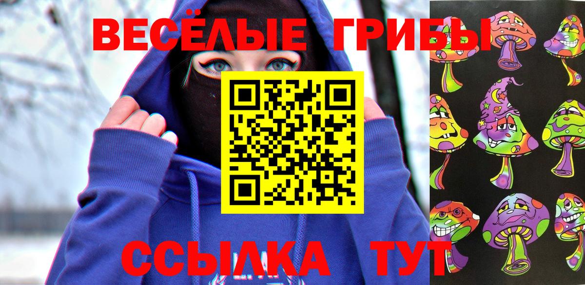 Псилоцибиновые грибы Cubensis Кизилюрт