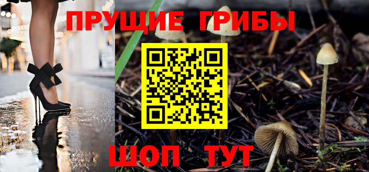 Кизилюрт  Галлюциногенные грибы ЛСД  Вход с VPN 